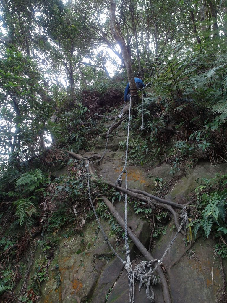 台灣小百岳第21座-桃園大溪金面山三角點_100584