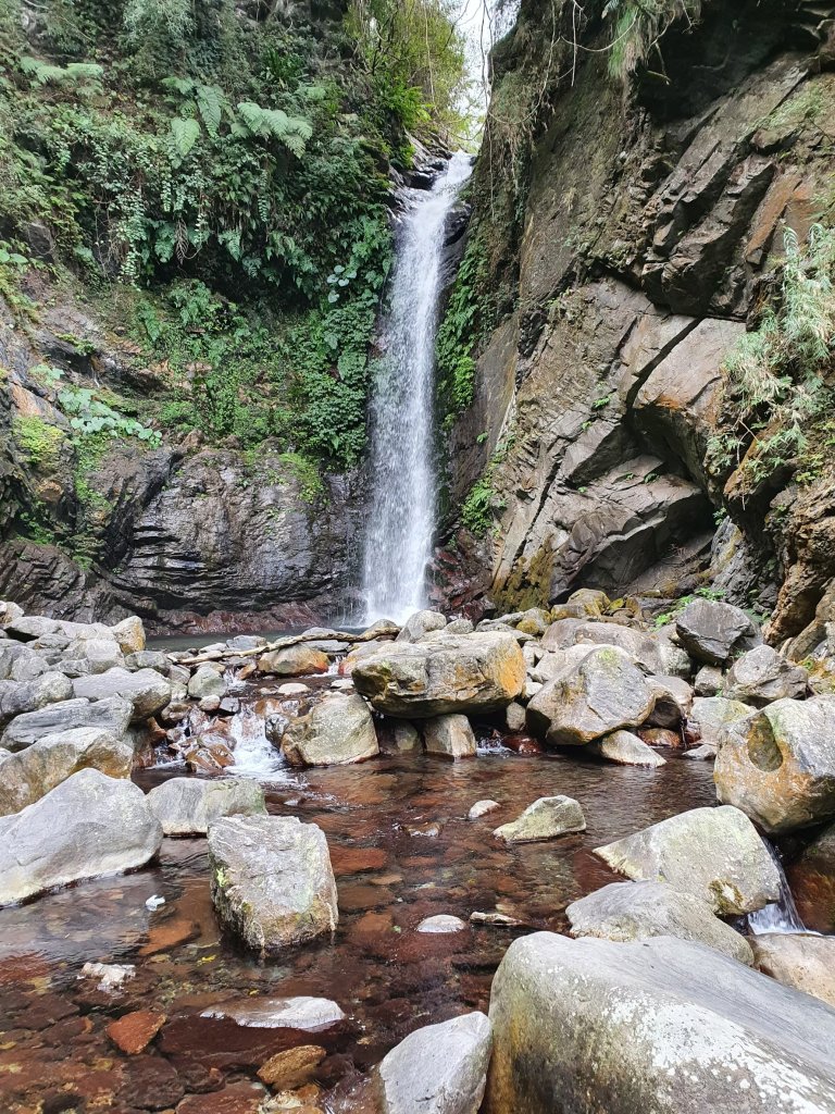 谷關七雄-唐麻丹山_2888681