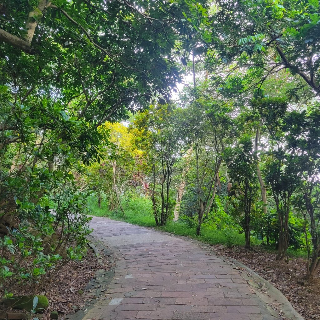 十八尖山步道（小百岳）封面圖