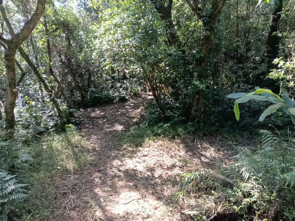 基隆市/萬里區界寮縱走之三界山+三界山西峰+開眼尖山+七分寮山+瑪七產道山泉水接水亭_2979604