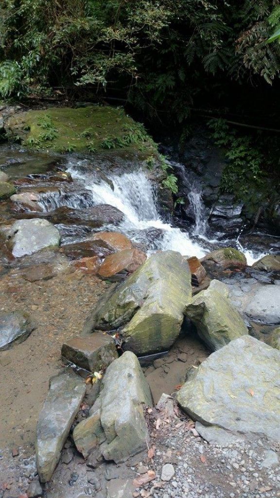 宜蘭 五峰旗瀑布步道_140628