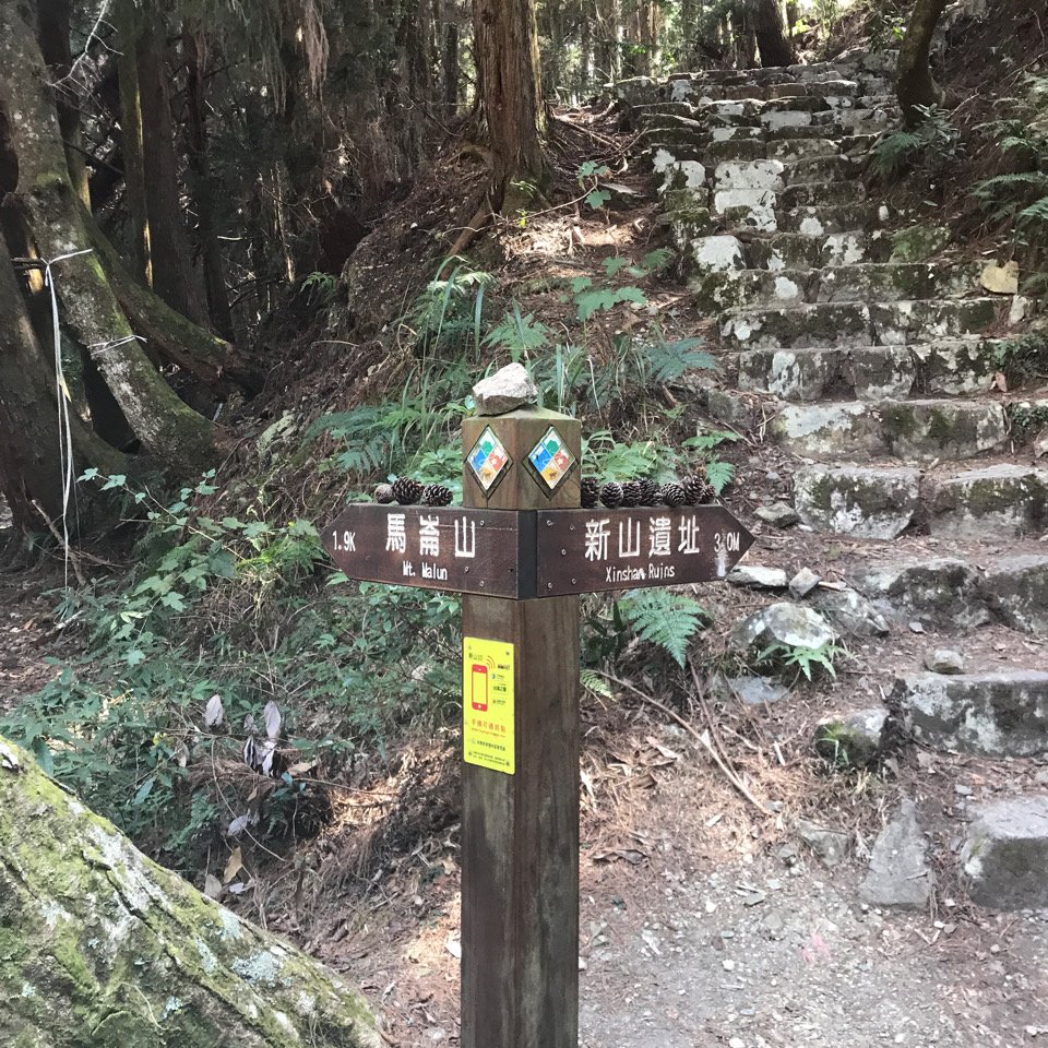 谷關七雄 馬崙山（老二）2023.03.04_2051354