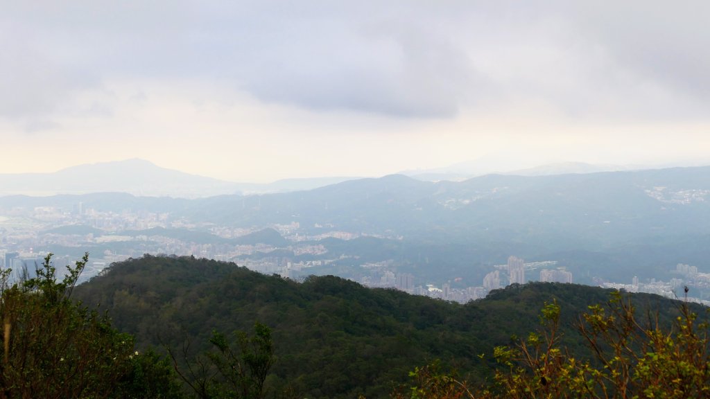 這裡怎麼有兔子還有藍腹鷴?_2663325