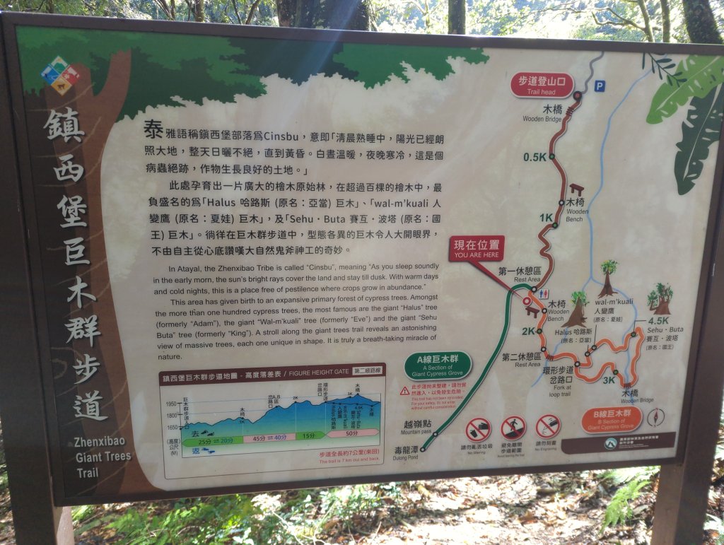 2026.01.03－鎮西堡B區神木群_2981135