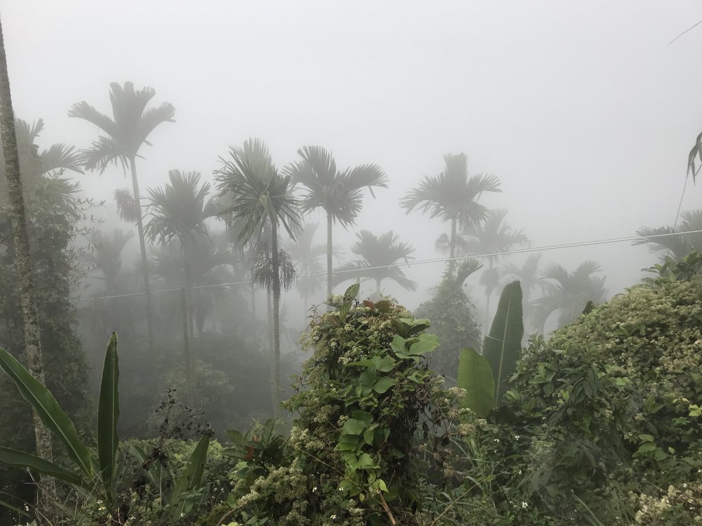 雞籠山x大凍山x九龍山_1221017
