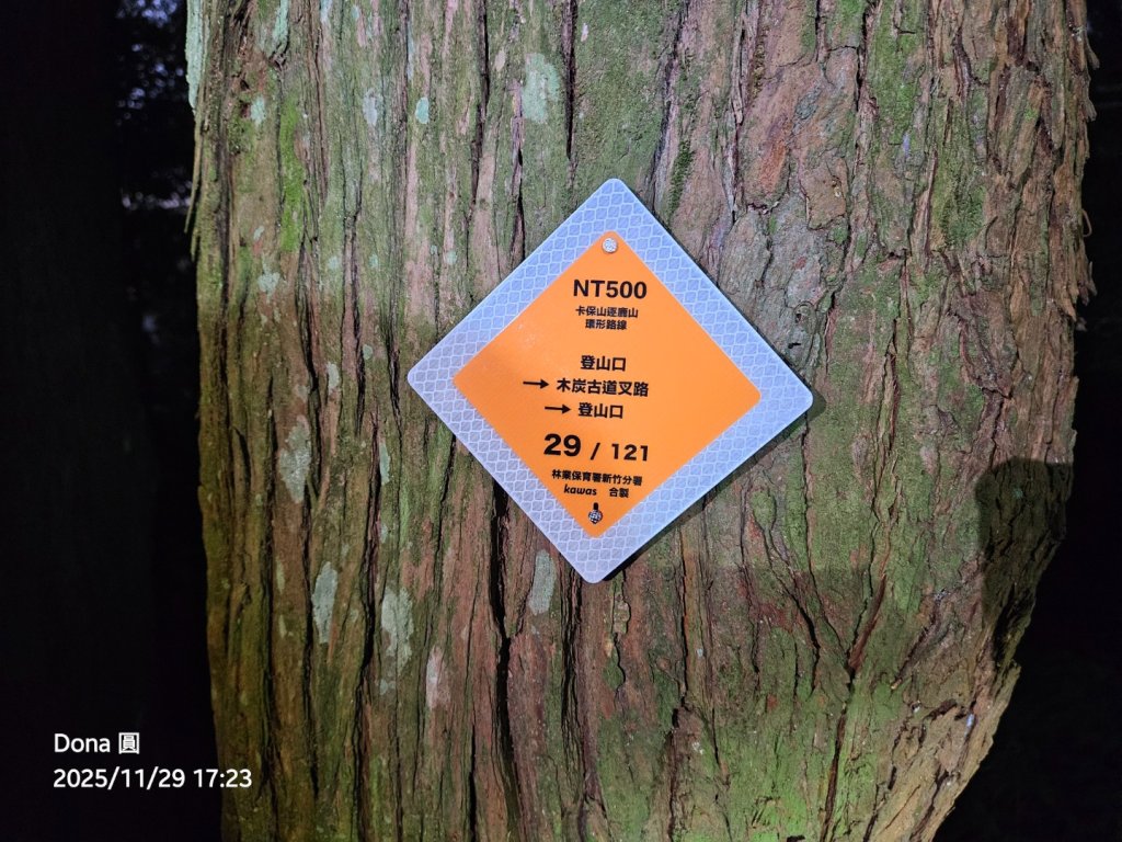 20251129逆走逐鹿卡保環型路線全段全紀錄_2949993