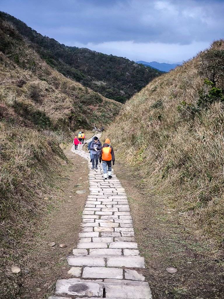 2025-01-19 大里天公廟~埡口_2695381