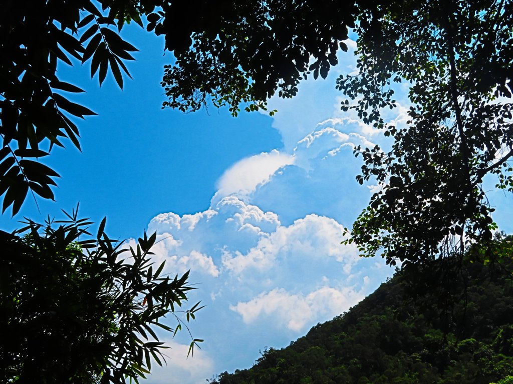 夏日水圳古道之旅：走坪頂古圳步道消暑去_637495