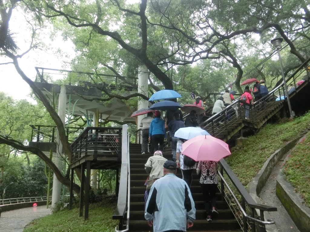 虎頭山公園_566827