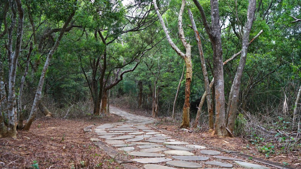 20211123鄭漢紀念步道_1529045