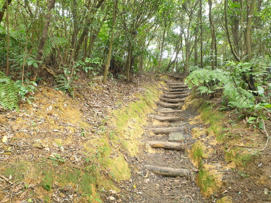 臺北大縱走第四段_1515986