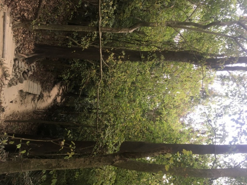 蘭潭後山步道_2041874