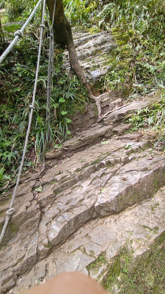 棲松縱走未竟_2918323