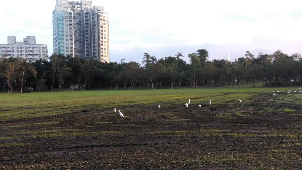 2017 12/24 羅東運動公園_873971