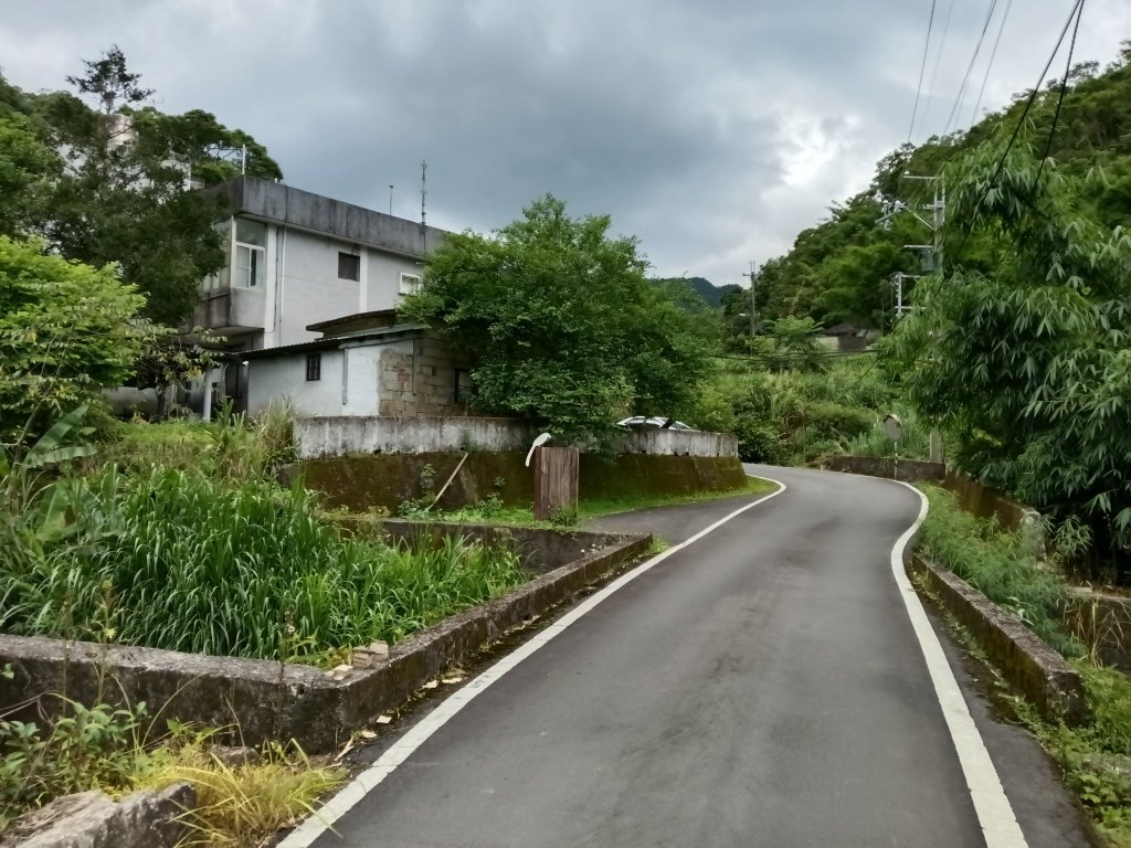 坪林區司公髻尾山+虎寮潭吊橋+粗石斛吊橋+大舌湖步道+漁光派出所_2794356
