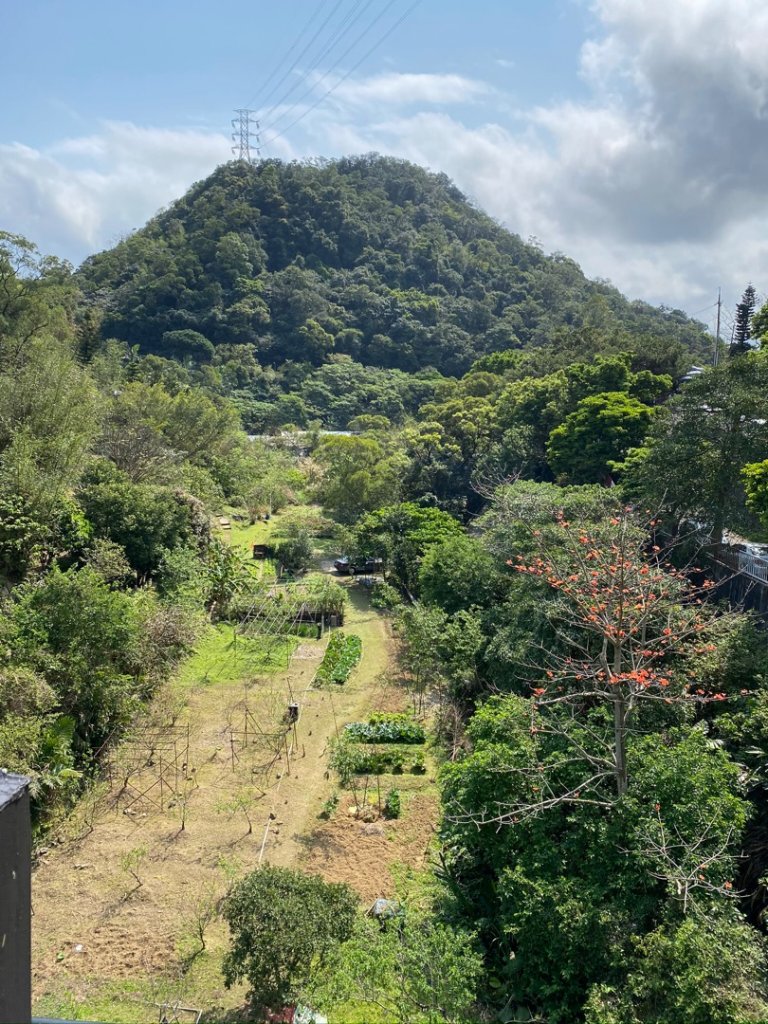 內湖。龍船岩-開眼山-白石湖山（折返）_876334