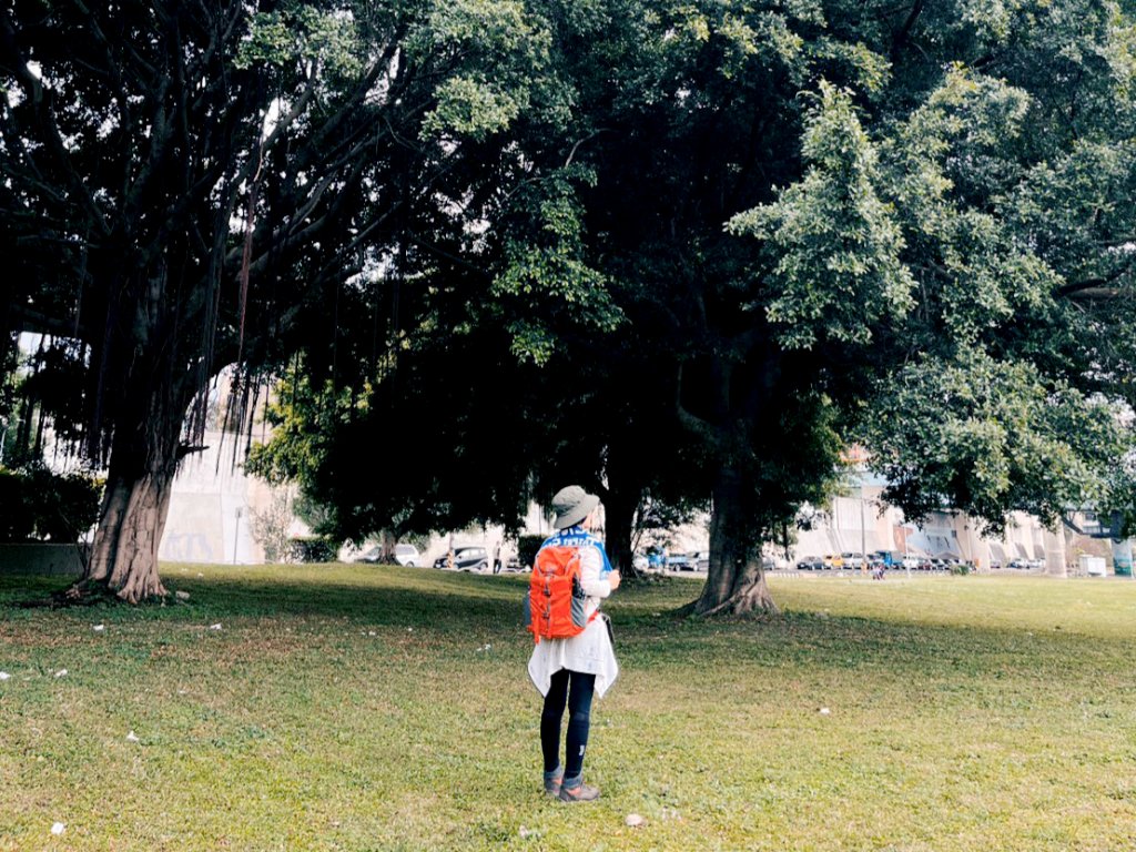 2023 臺北大縱走 8：捷運關渡站至華江雁鴨自然公園(上)_2079578