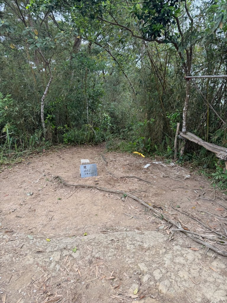 獅猿縱走_2749121