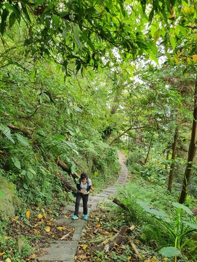 1090405後棟山連走大二尖山_908317