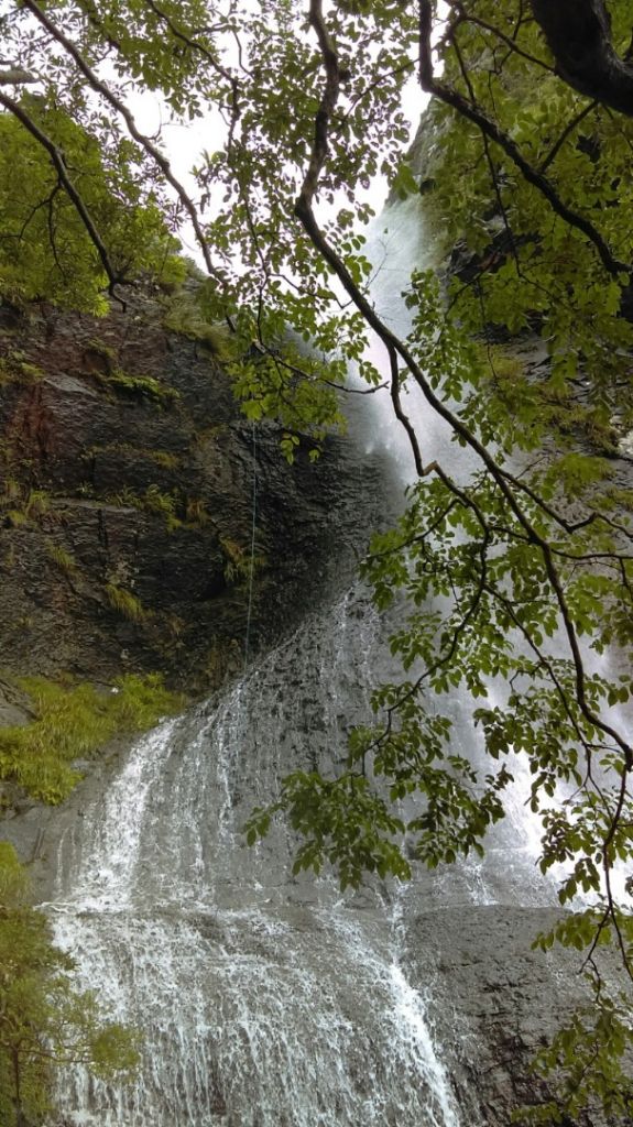 陽明山國家公園最大的瀑布「阿里磅瀑布」_406746