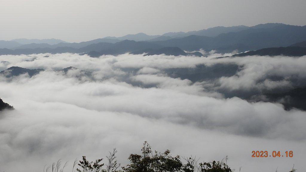 翡翠水庫壩頂(新店四十份)再見日出雲海+賞 #松月櫻 &桐花_2114986