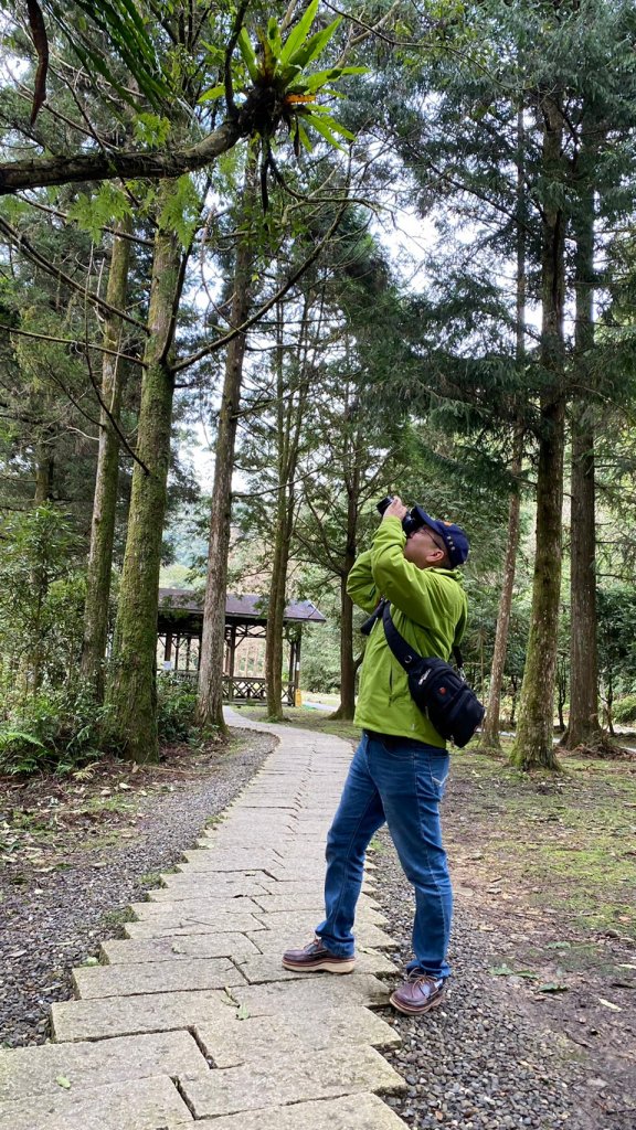 福山植物園封面圖