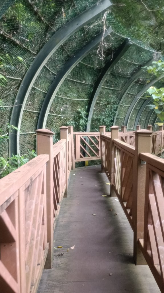 小錐麓步道_1730182