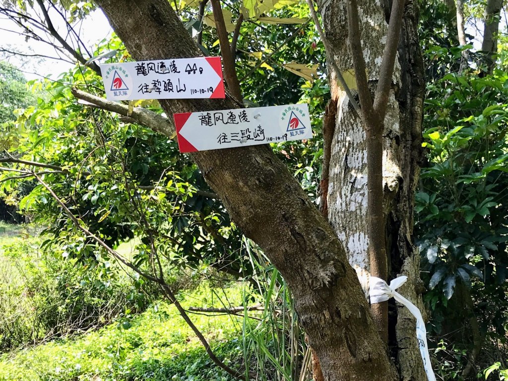 龍鳳連稜少隻鳳_1664379