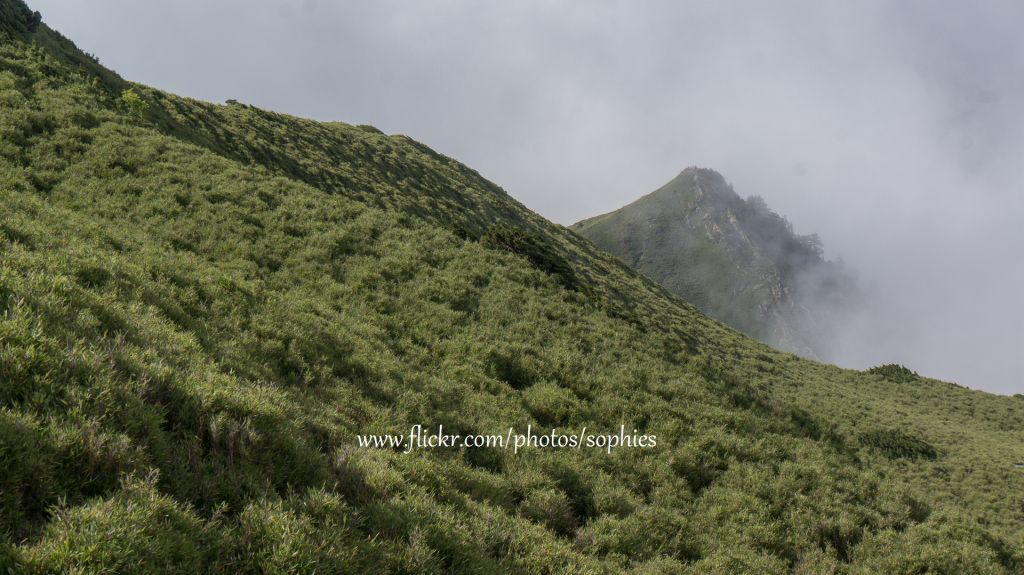 20180703合歡東峰_376209