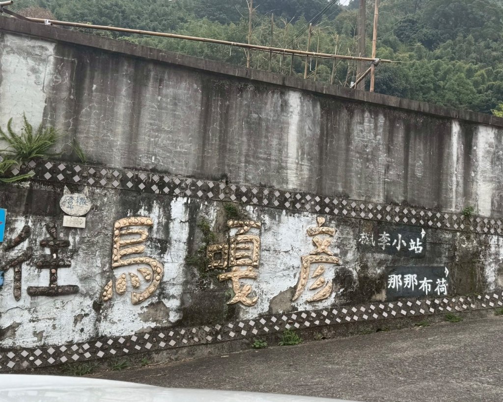 苗栗/馬那細道邦山-烏嘎彥竹林-水雲三星-鳥嘴山_2927026