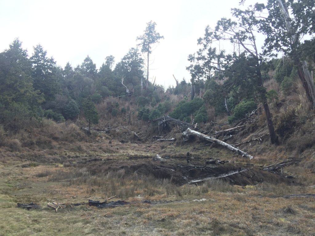 散落的珍珠-加羅湖_565138