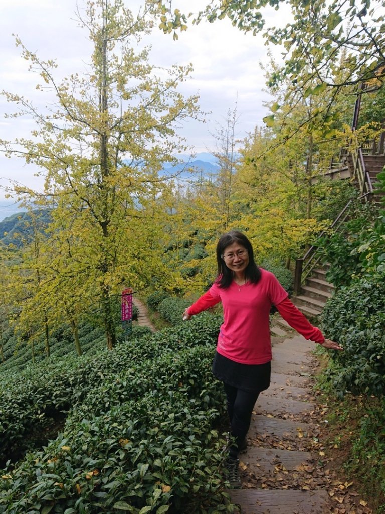 貓空望山、嶺頭山、金柑樹山（小百岳）、忘憂森林_1897060