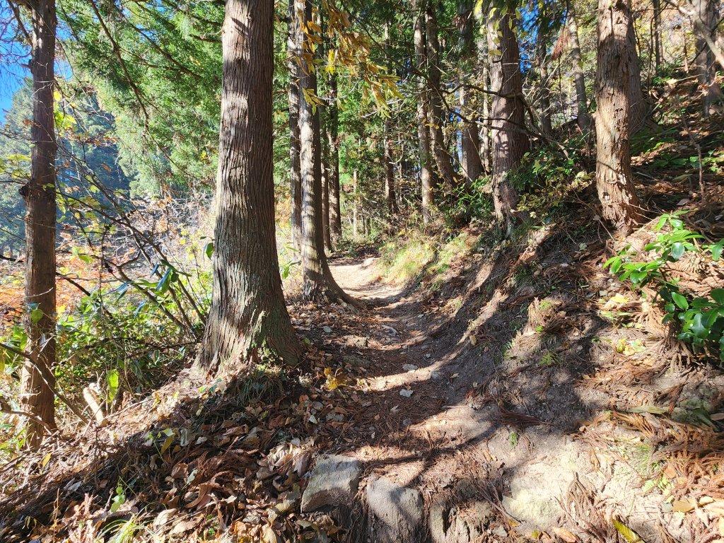 20251123秘境車站峠駅與垂水遺跡_2957764