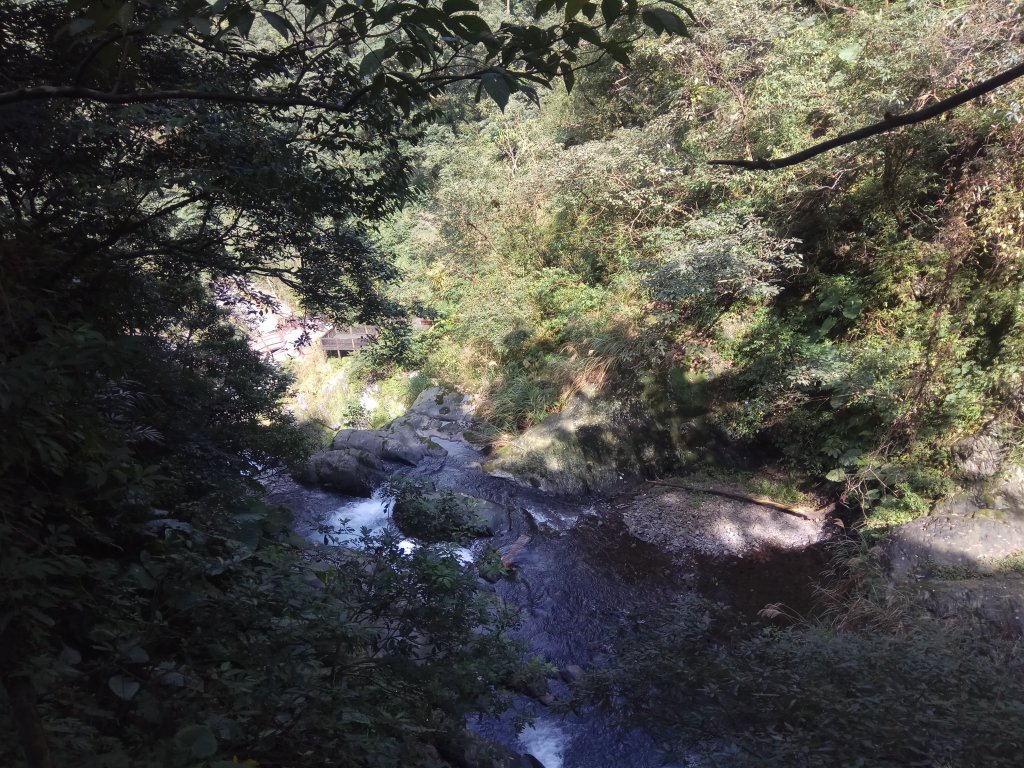 新寮瀑布步道_874854