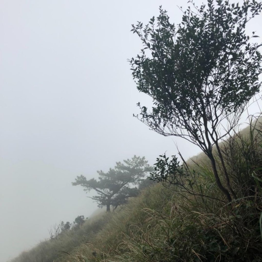 七星山主東峰20181115_461014