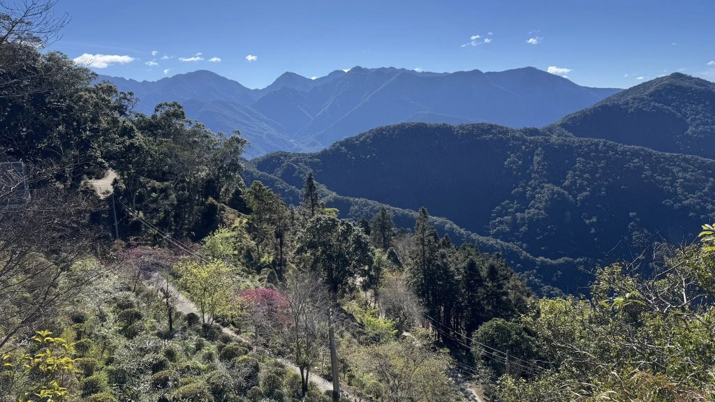 20260214 小百岳藤枝山封面圖