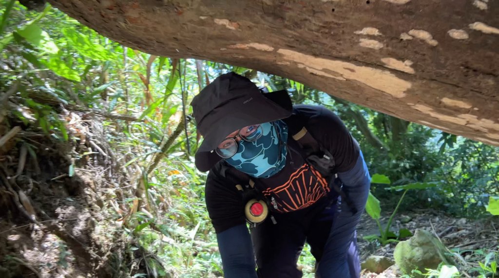 九份二山_2597566