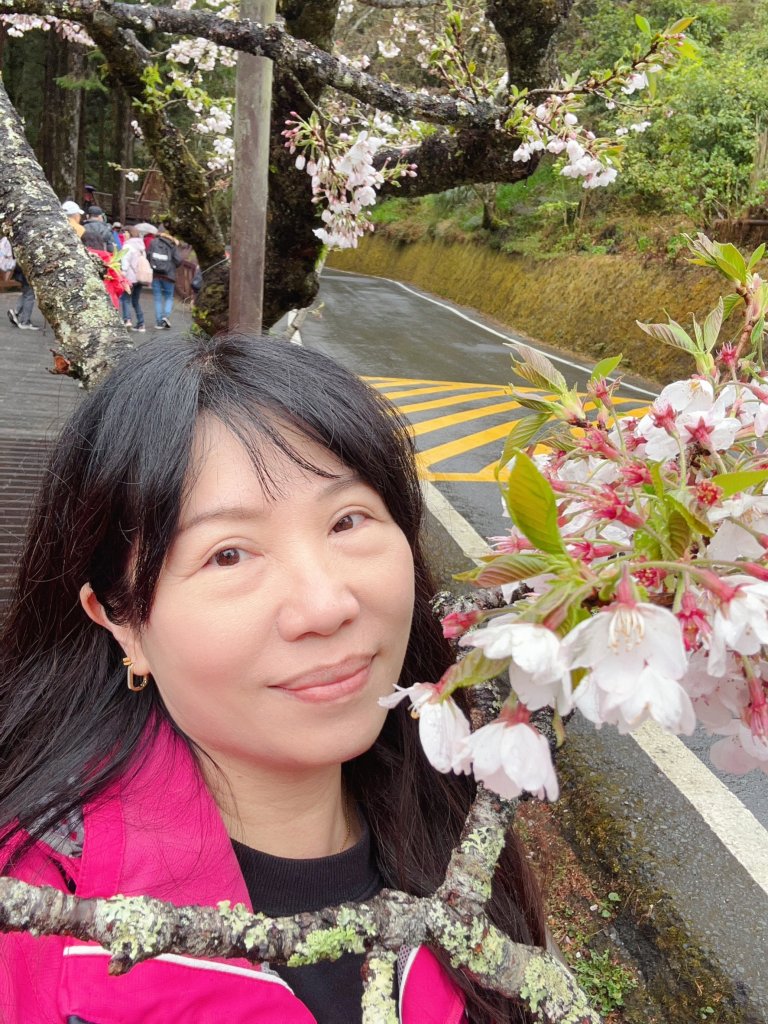 2023尋訪消失的眠月線聚焦失落沉寂的百年鐵道之旅_2110491