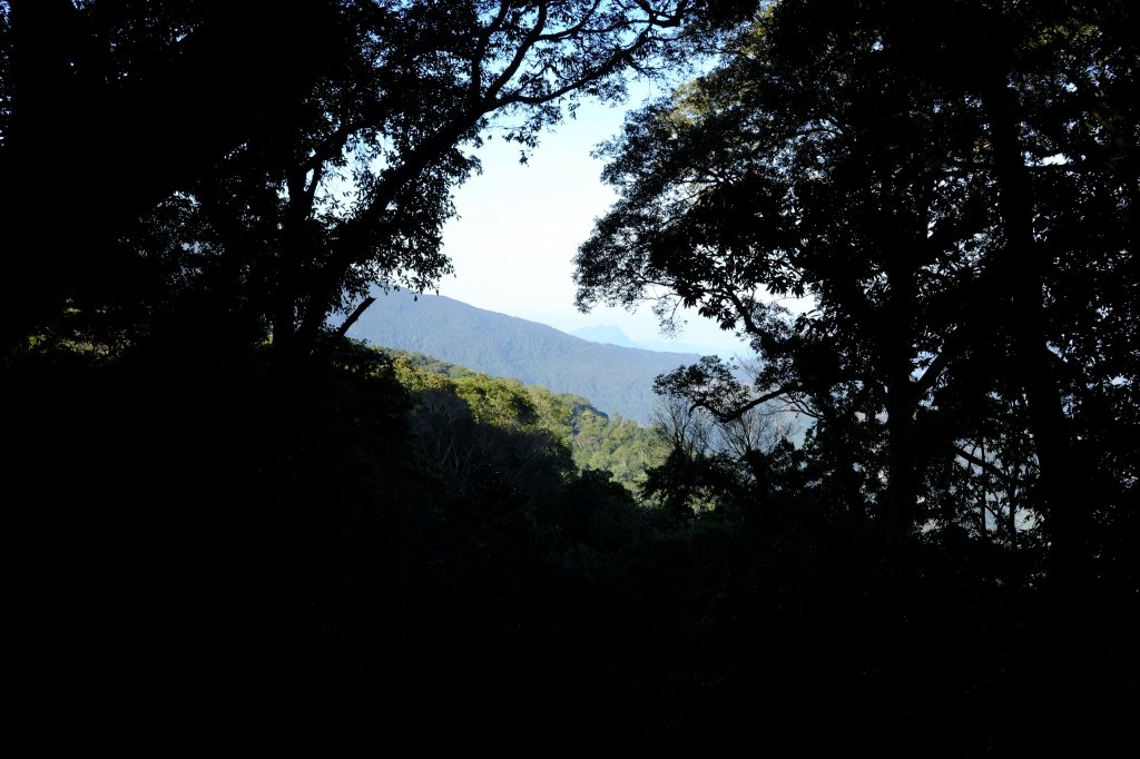 新竹尖石鄉 高島縦走_1280665