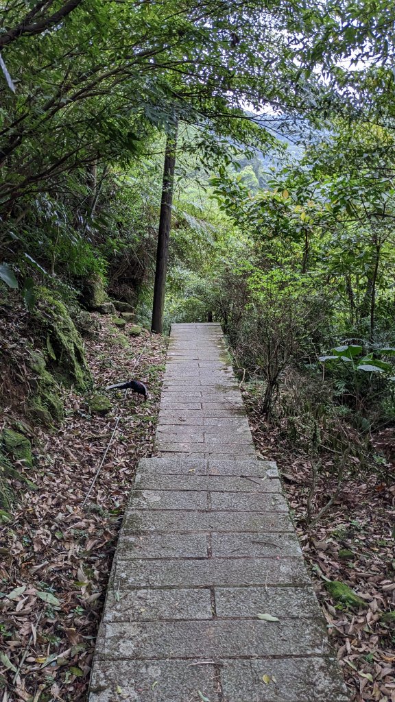 20230404_石碇皇帝殿_2108094