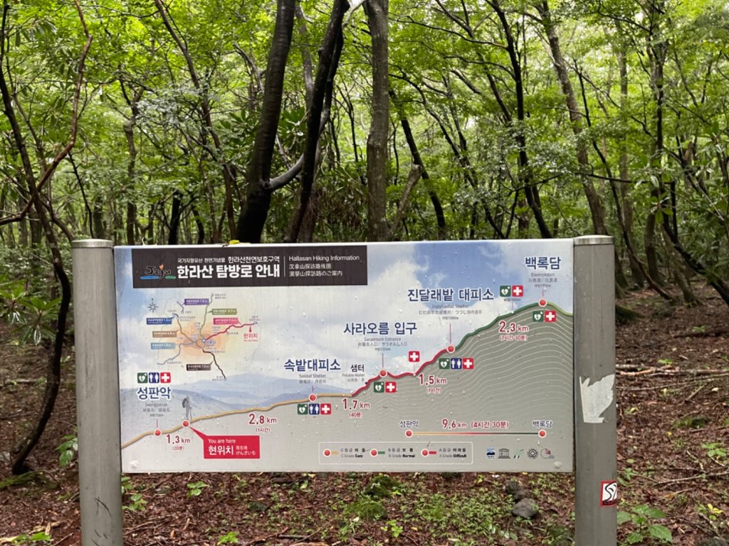 1140811 KR 漢拏山杜鵑花田避難所-紗羅岳觀景臺_2860092