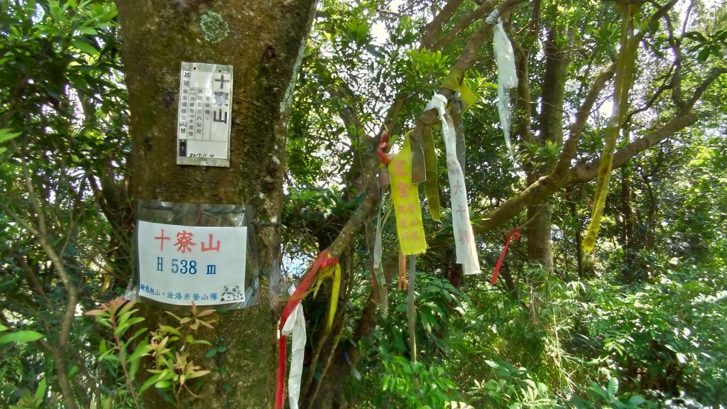 大竹坑山、十寮山步道_375496