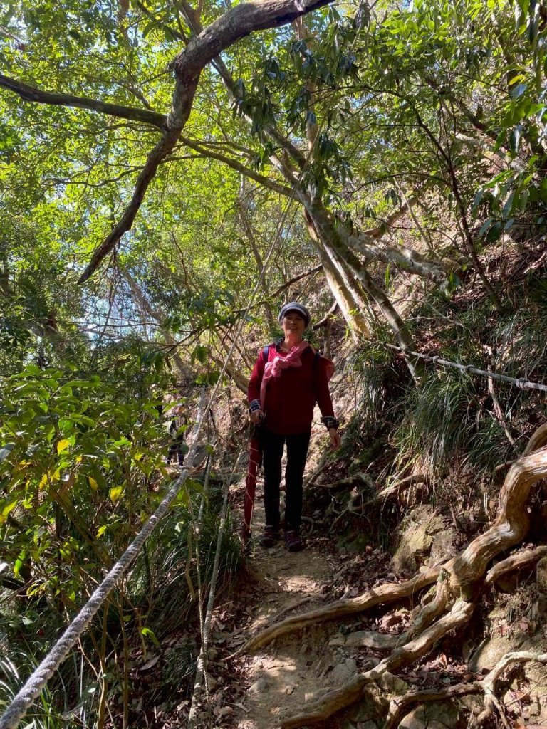 🌈1/4(日)來趣梅嶺~竹子尖山-獵鷹尖-一線天~梅子雞風味餐✨FB：熊熊趴爬走🌈_2976812