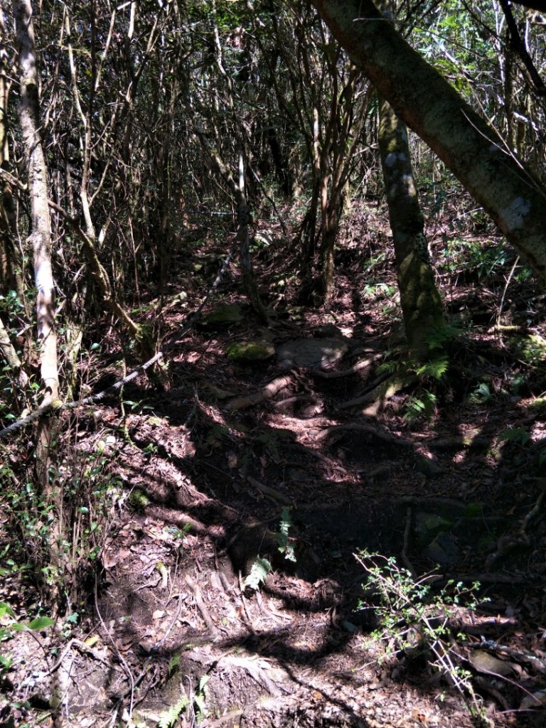 小百岳:李凍山_1619253