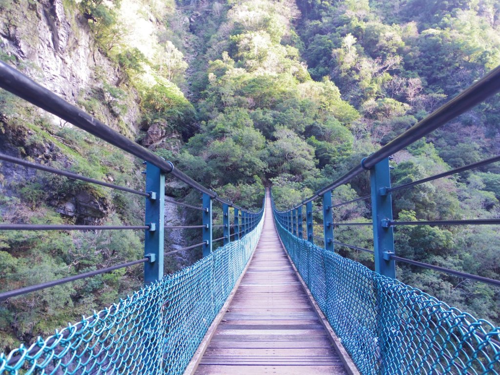 追憶 錐麓古道_2481965