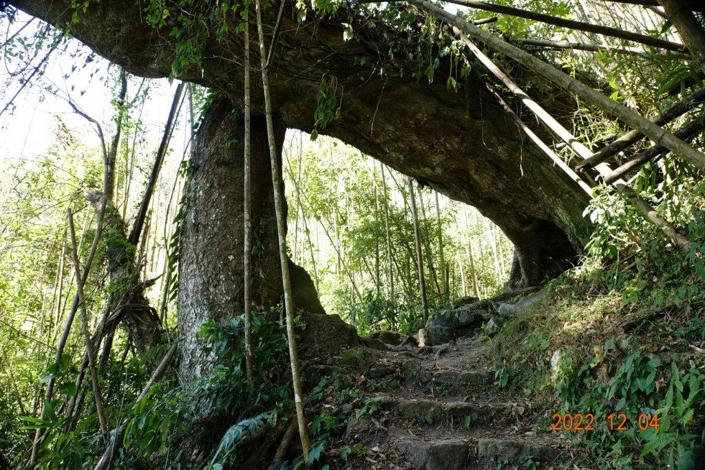 嘉義 竹崎 光崙山、摩天嶺_1941076