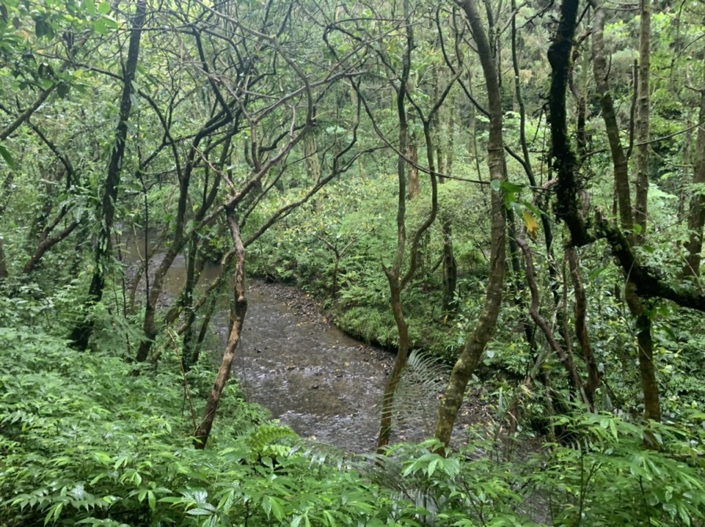 烏山越嶺古道-坪溪古道-石空古道-外澳封面圖