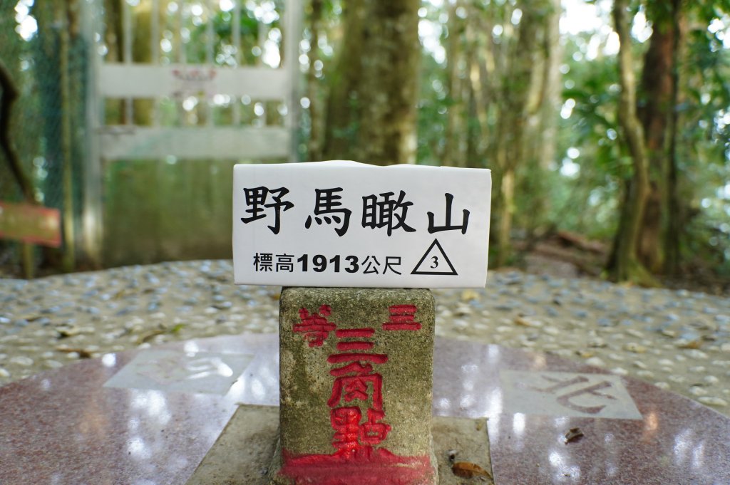 新竹 五峰 野馬瞰山封面圖