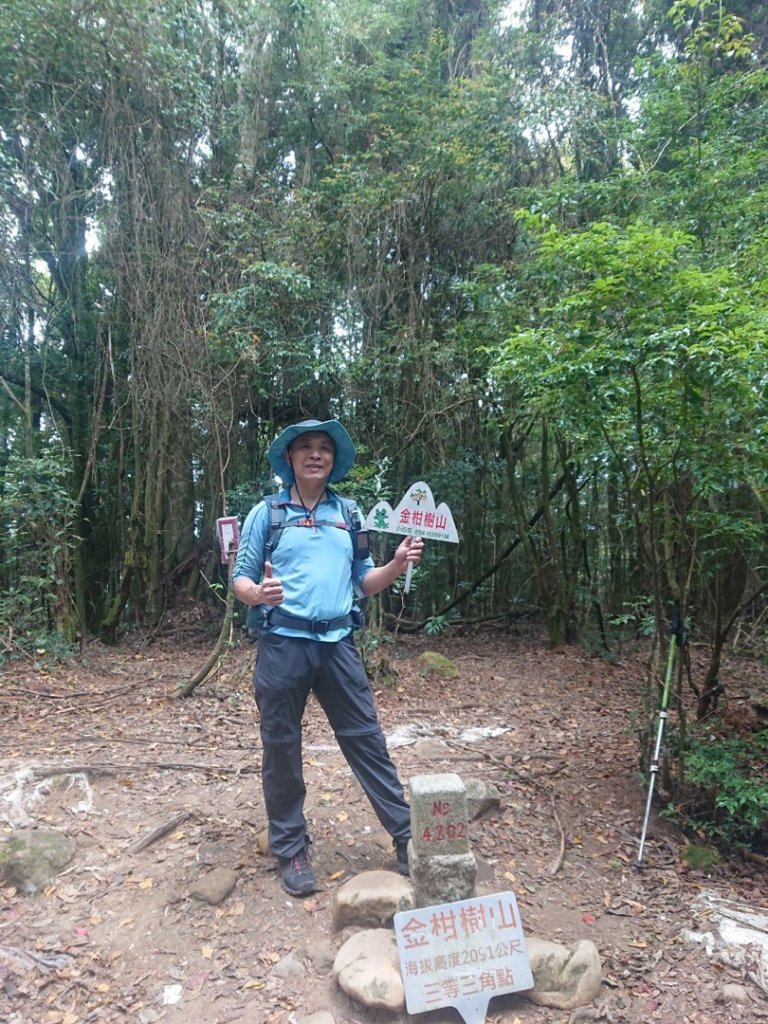 貓空望山、嶺頭山、金柑樹山（小百岳）、忘憂森林_1897031