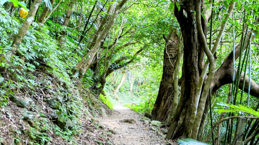 雲森瀑布_2872190